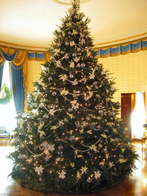 Real Christmas Trees Real Christmas Trees