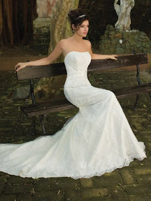 Trendy Fall Wedding Gown 2011