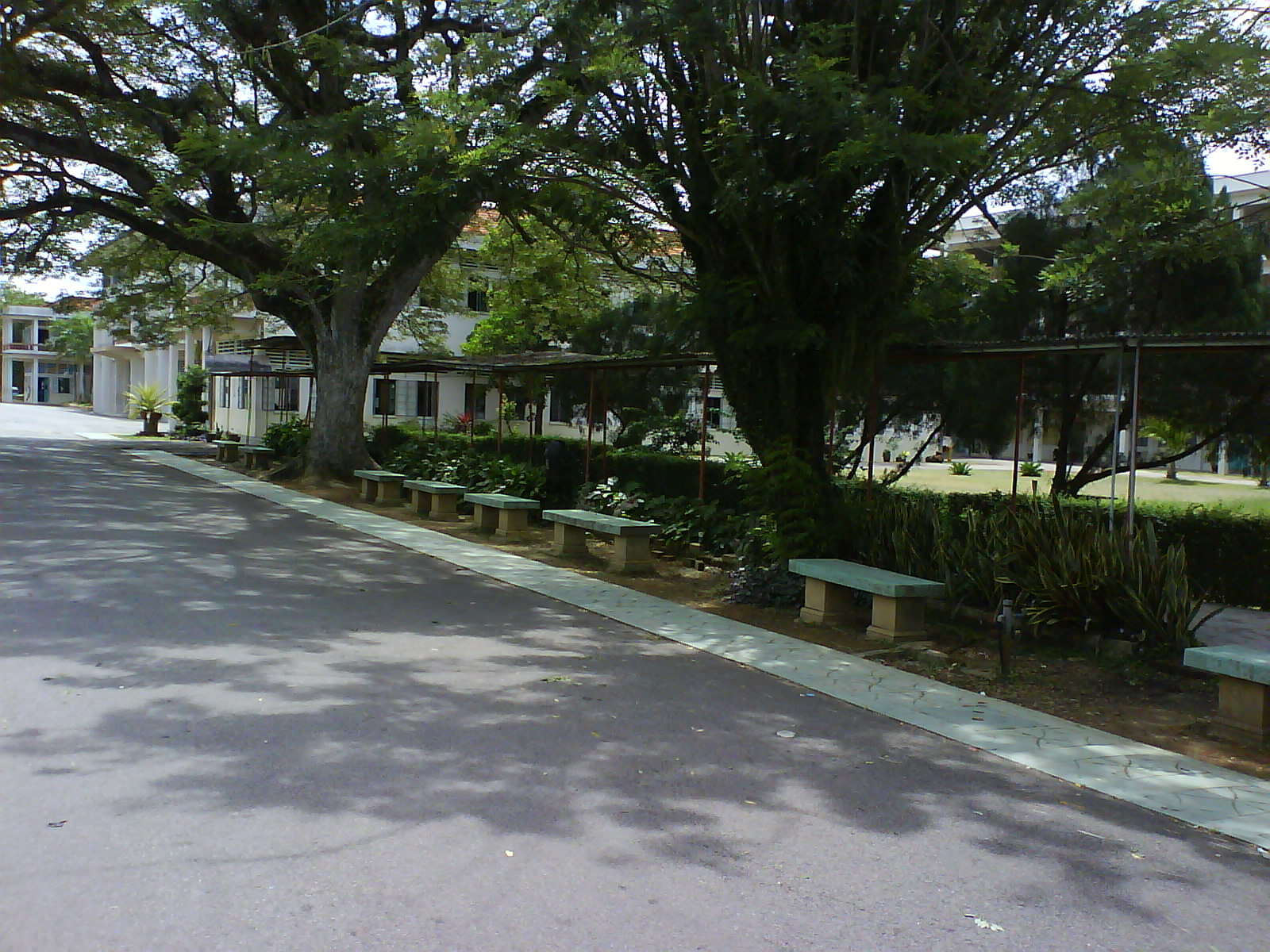 [DSC00134.JPG]