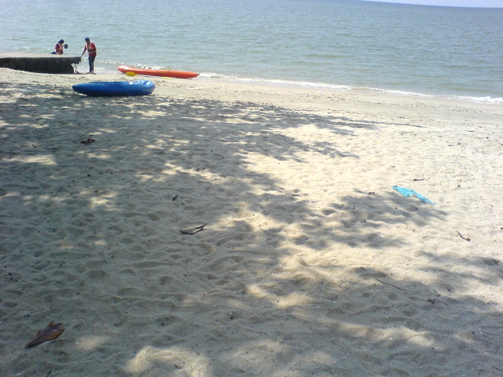 [DSC01662.JPG]
