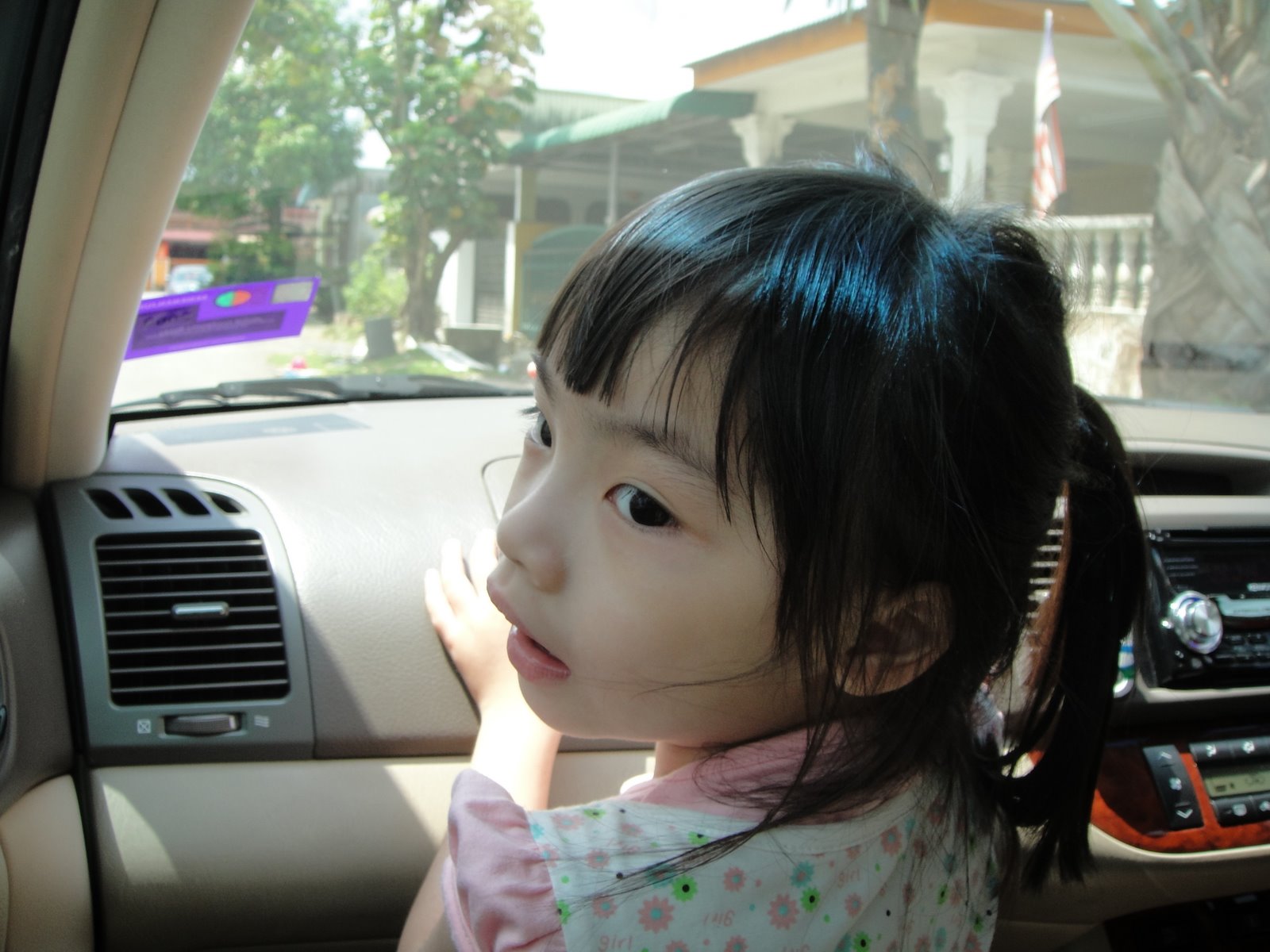 [DSC00256.JPG]
