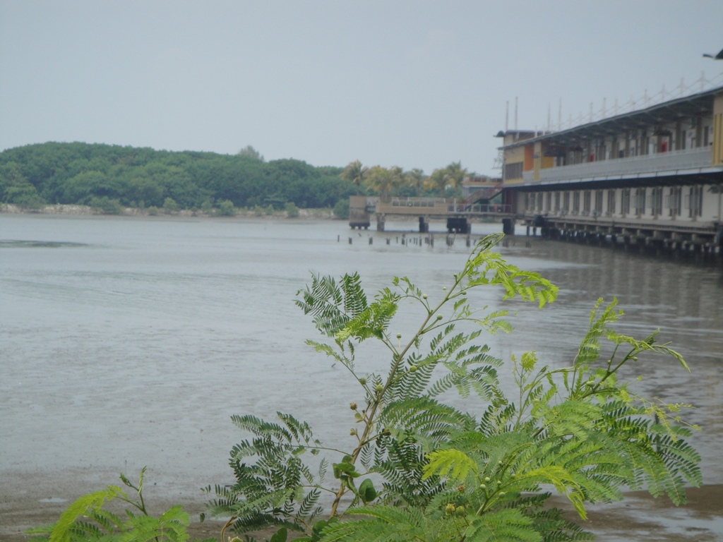 [DSC00800.JPG]