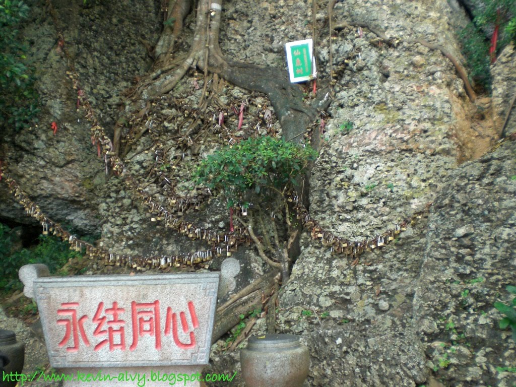 [CIMG0108.JPG]