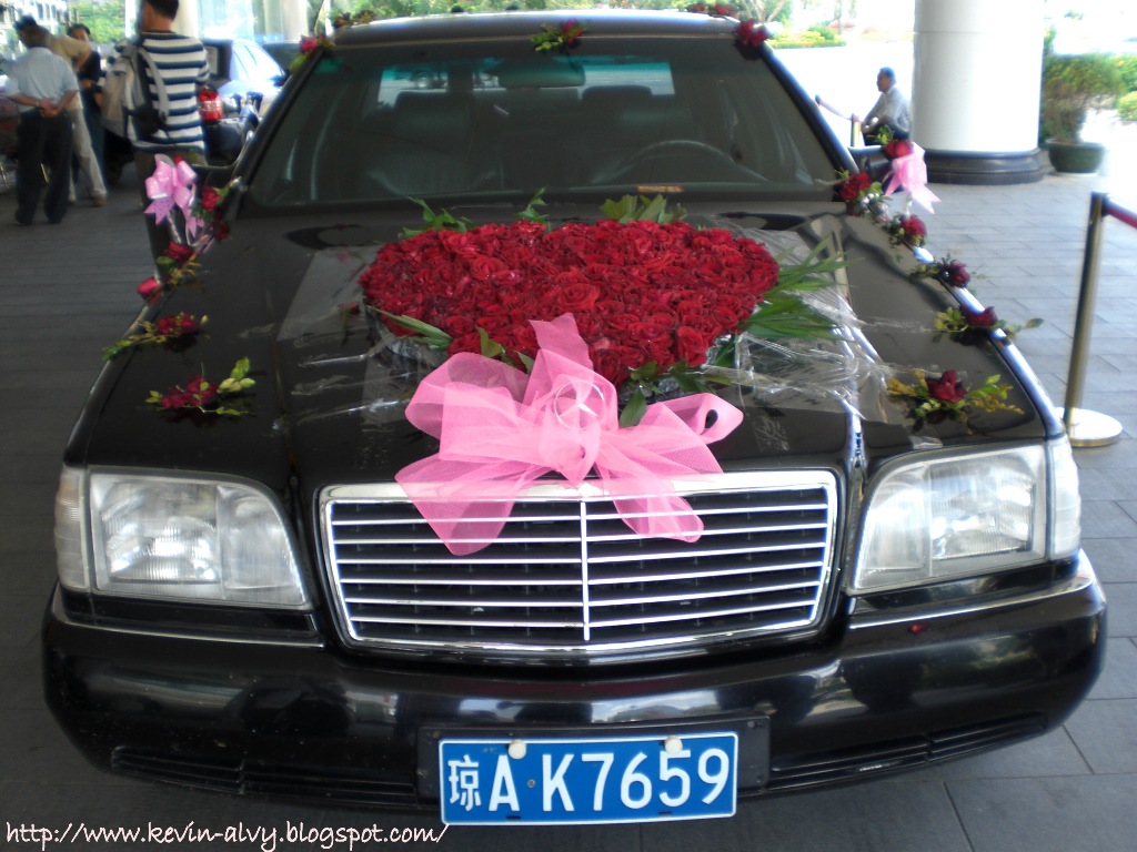 [CIMG0074.JPG]