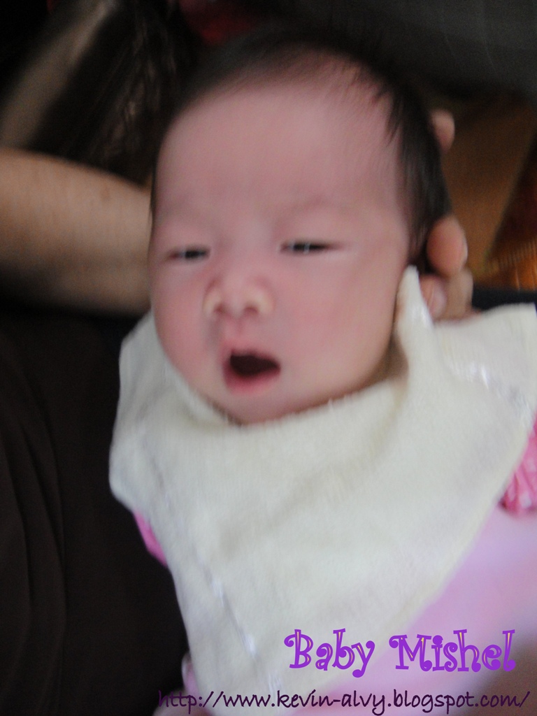 [DSC01451.JPG]