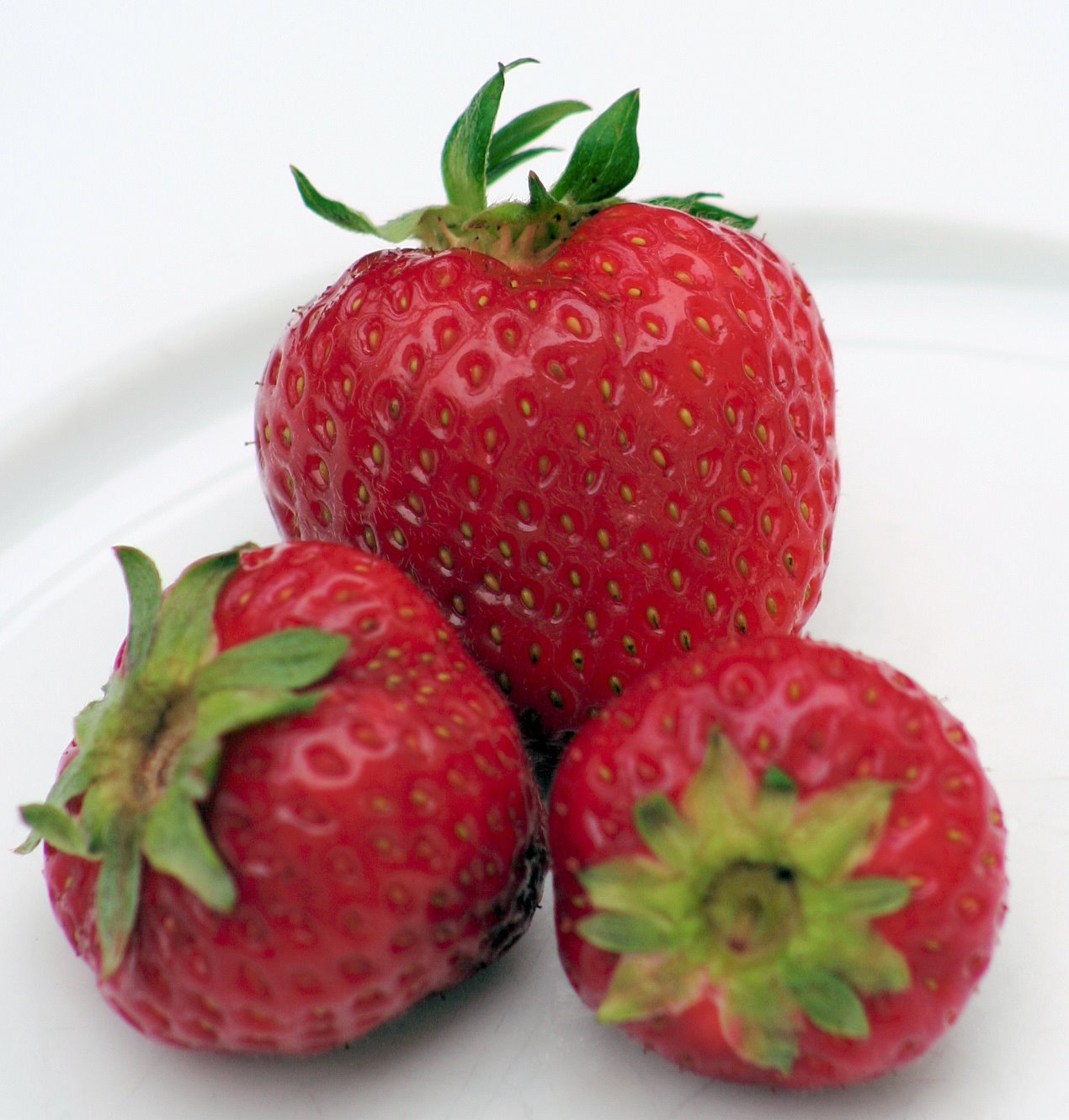 [strawberries2.jpg]
