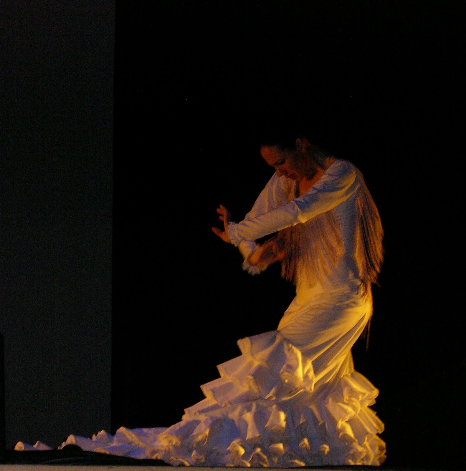 COMPAÑÍA DE FLAMENCO GUILLERMINA CASTRO
