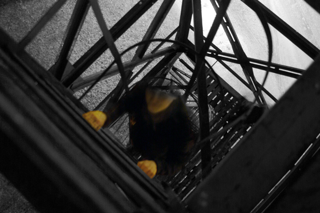 [val+down+ladder.jpg]