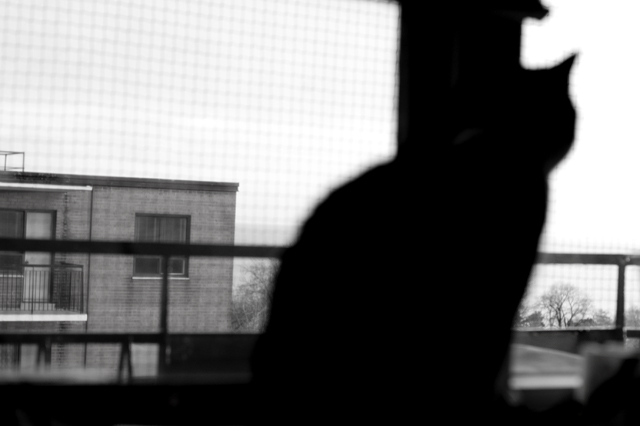 [apartment_window_by_Fakezippo.jpg]