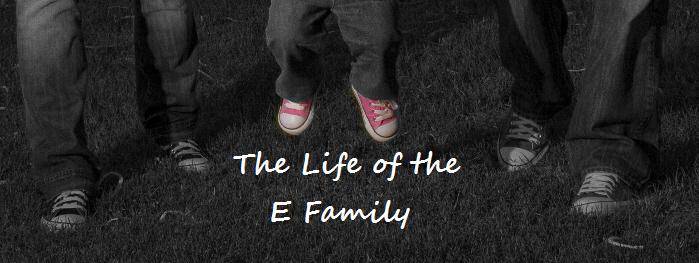 The Life of the E Family