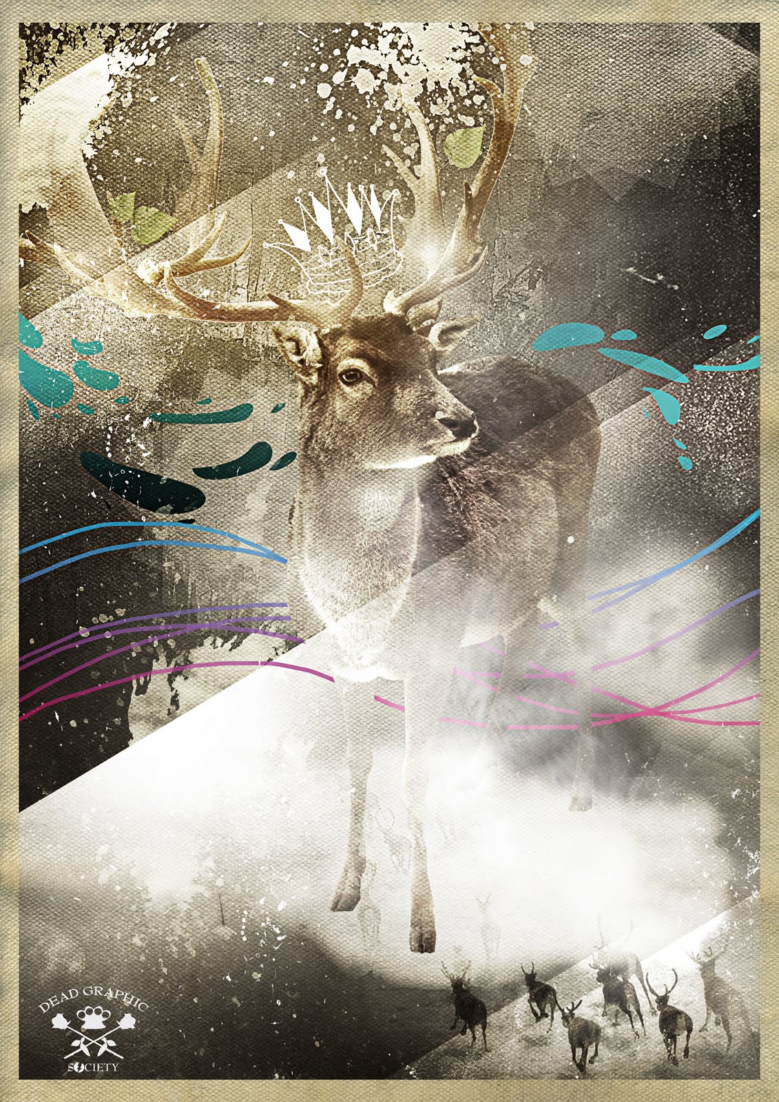 new work called Animal Instinct, its a wildlife preservation visual to