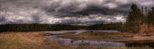 Duck Pond HDR Pan