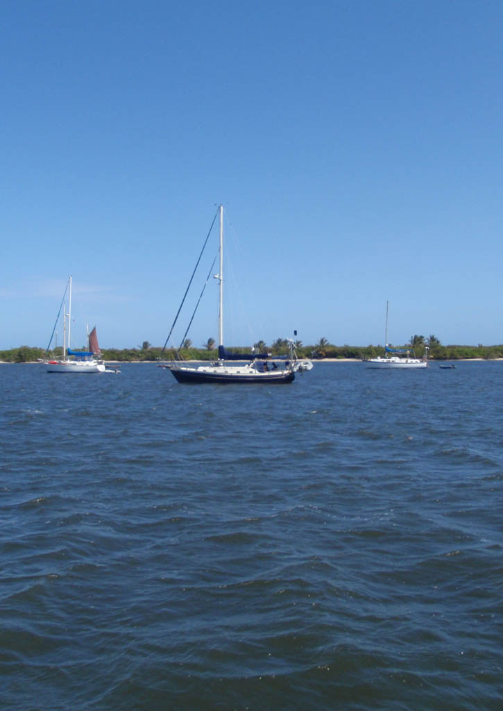 [AnchorageBuoy19.jpg]