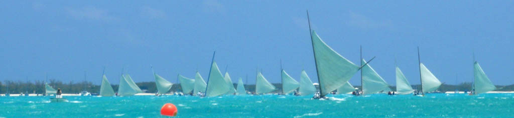 [regatta3.jpg]