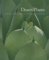 [desertplants2.jpg]