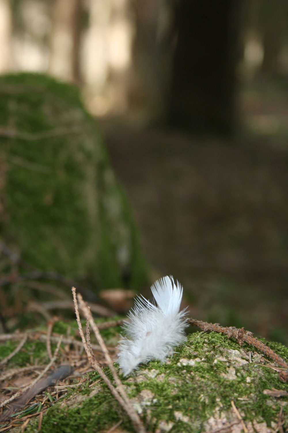 [IMG_4747.jpg]