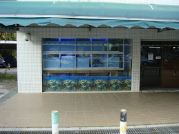 B & Y Marine Fish Shop