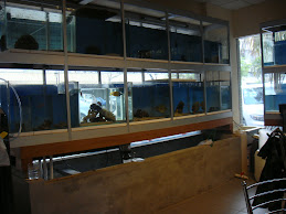B & Y Marine Fish Shop