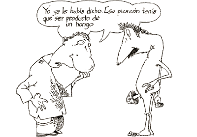 DIBUJOS MACHISTAS dibujos machistas: