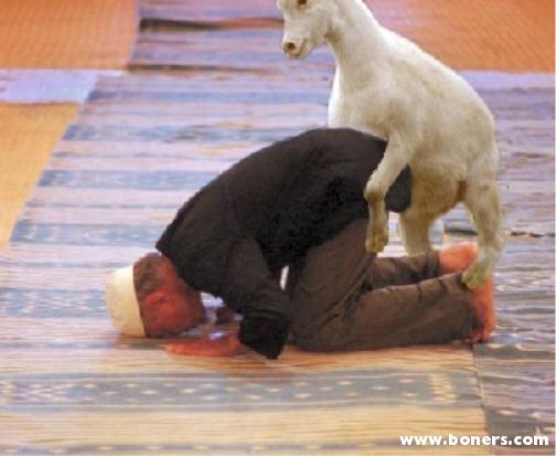 [Ziege+vögelt+Ziegenficker.jpg]