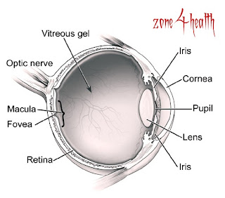 Health tips for your eyes(best tips)