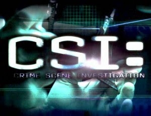  CSI Season10 Episode19  online free