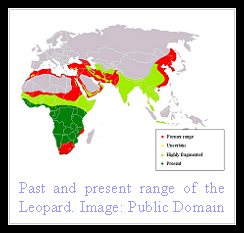 Leopard Distribution