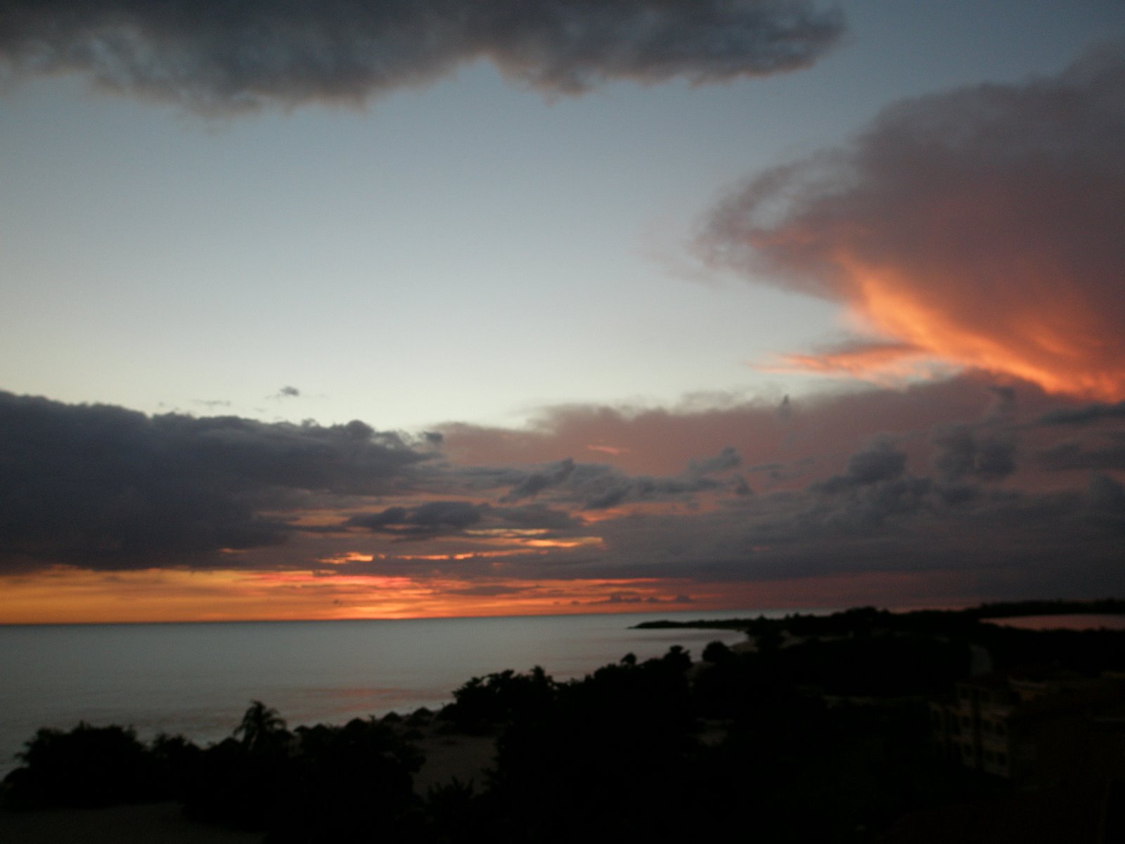 [PA230149.JPG]