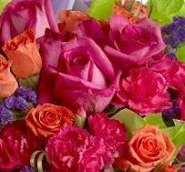 [FLORES+LINDAS2.jpg]
