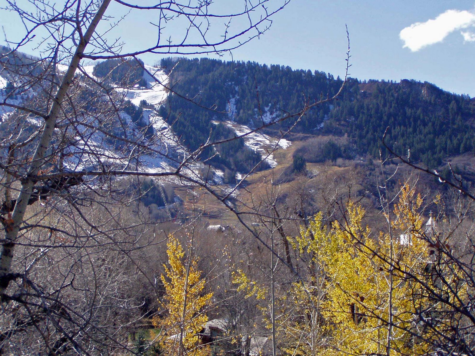 [Aspen.jpg]