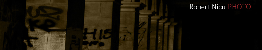 Robert Photography