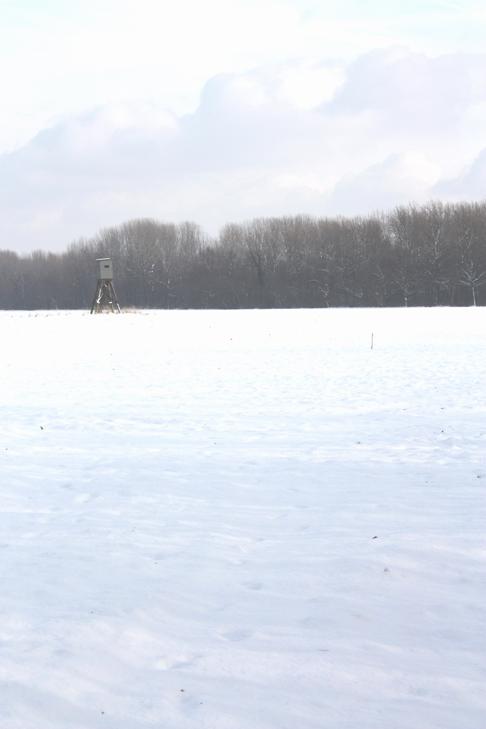 [schnee2.jpg]