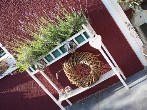 [gartenimpressionen5.jpg]