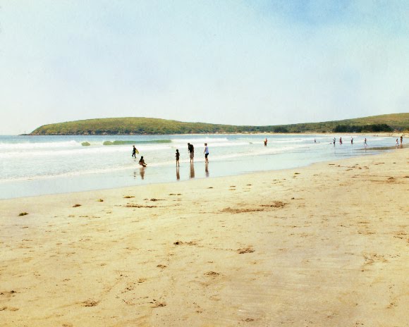 Summer Photography