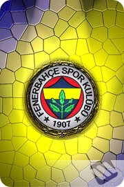 Fenerbahçe cep telefonu kılıfı