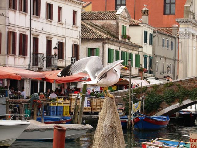 Chioggia, Venecia