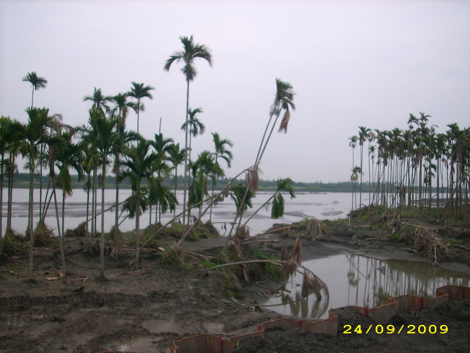 [IMG_4279.JPG]