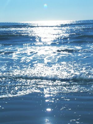 [ocean.bmp]