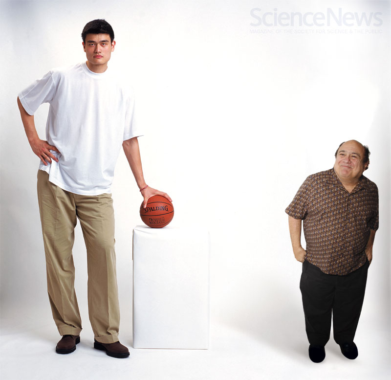 Height Growth ,Increase Height