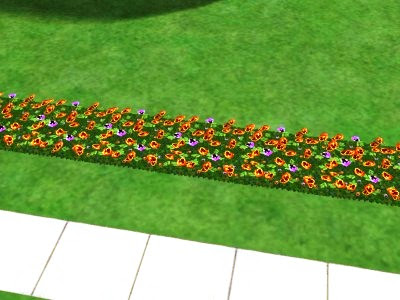 Nessa imagem, as flores estão apontando apenas para um lugar (Perceba a posição das flores roxas).