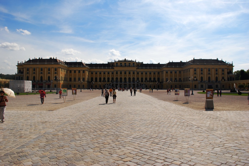 [DSC_0157.JPG]