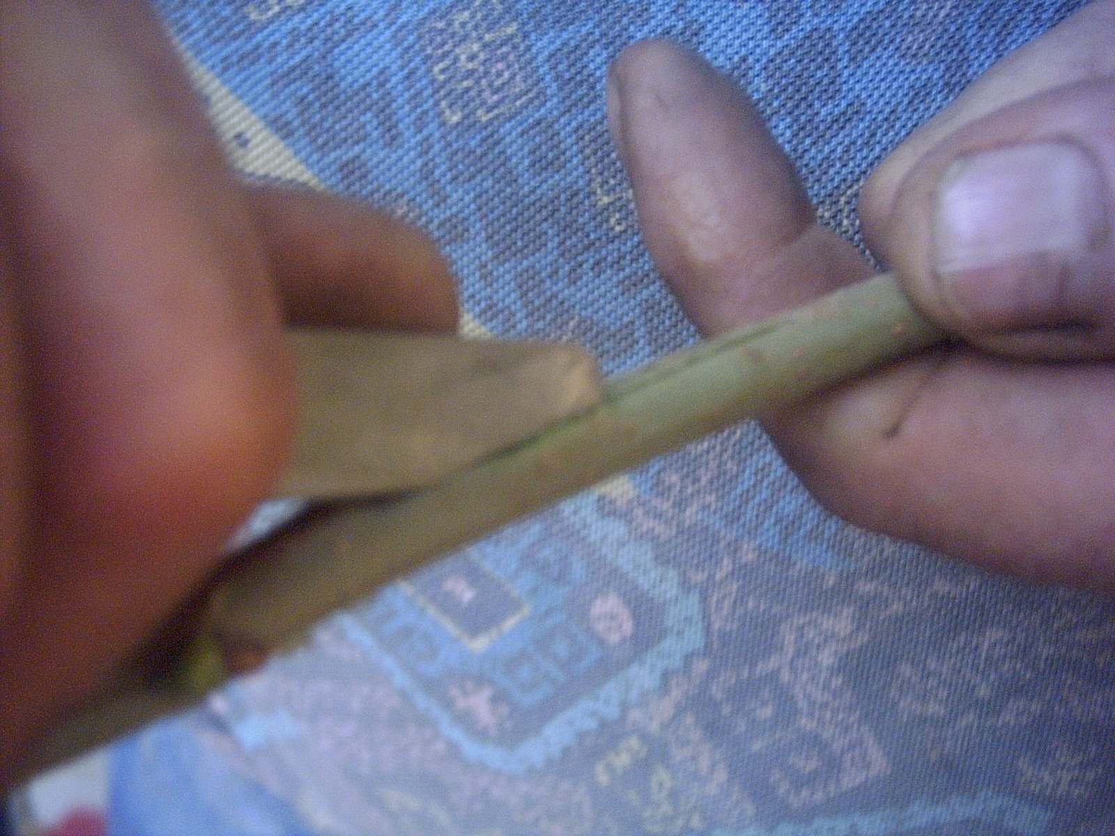 [PICT0010_1.JPG]