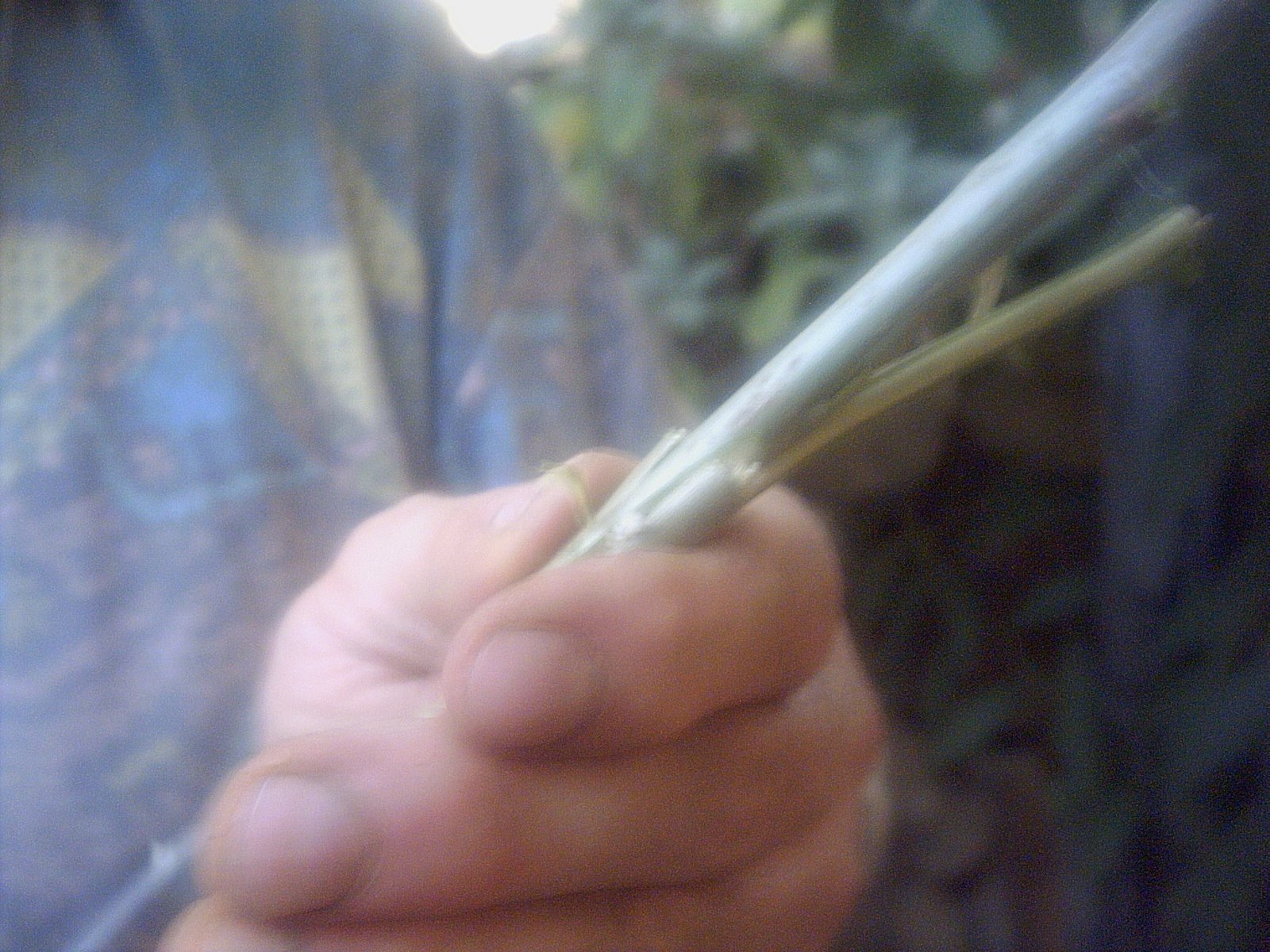 [PICT0004_2.JPG]