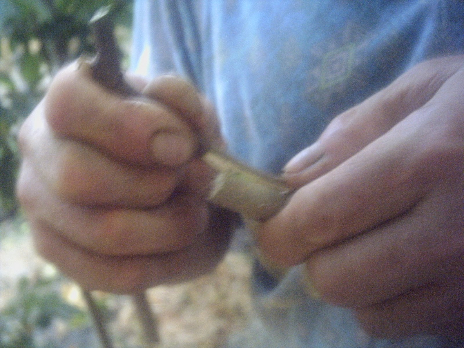 [PICT0008_2.JPG]