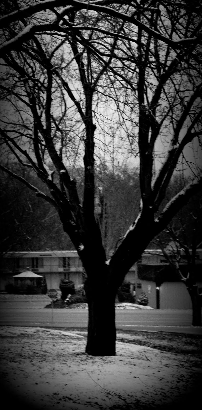 letter y photography