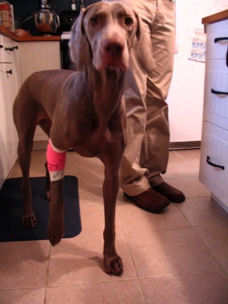 [n1246530039_30020960_4067.jpg]