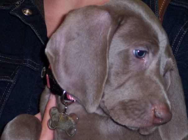 [n1246530039_30020933_9596.jpg]