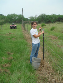 Fence Mending