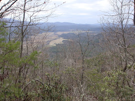 Cades Cove from Crooked Arm Ridge Trail