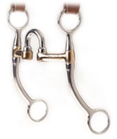 [bit-p-correct-7shank.jpg]
